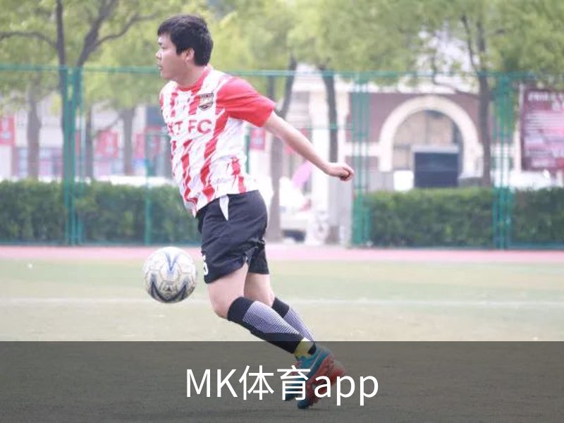 了解MK体育app